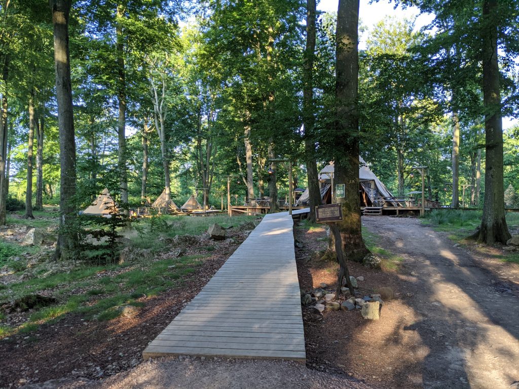 Camp Oak